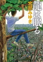 龍は眠る 表紙