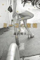 ミーコの宝箱 表紙
