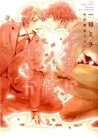 イエスかノーか半分か 表紙