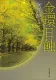 金環日蝕 表紙
